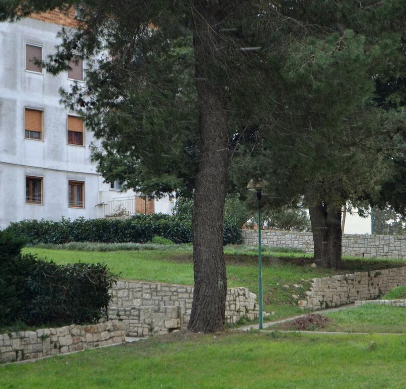 Апартаменти La Casa Di Olga Матера Екстер'єр фото